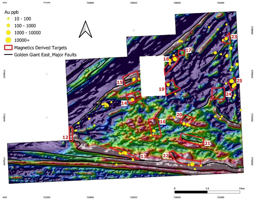Figure 1: Map of proposed target areas for Golden Giant East Areas of Interest. Shown with interpreted major faults and mineralized samples (ppb Au), underlain by total magnetic intensity. 
