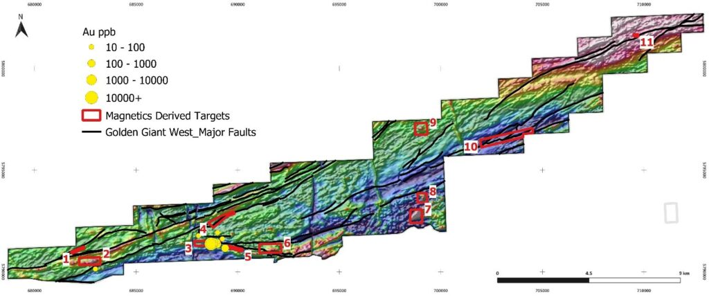 Figure 2: Map of proposed target areas for Golden Giant West Areas of Interest. Shown with interpreted major faults and mineralized samples (ppb Au), underlain by total magnetic intensity.